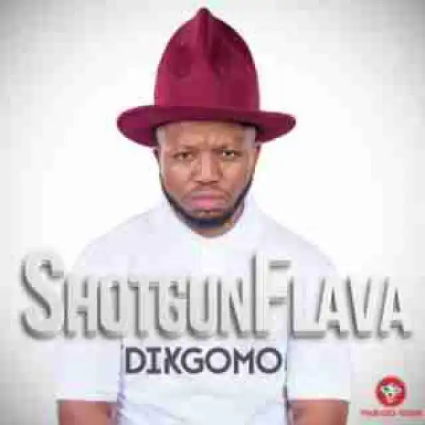ShotGun Flava - Dikgomu ft. Pyrobeats (Official Version)